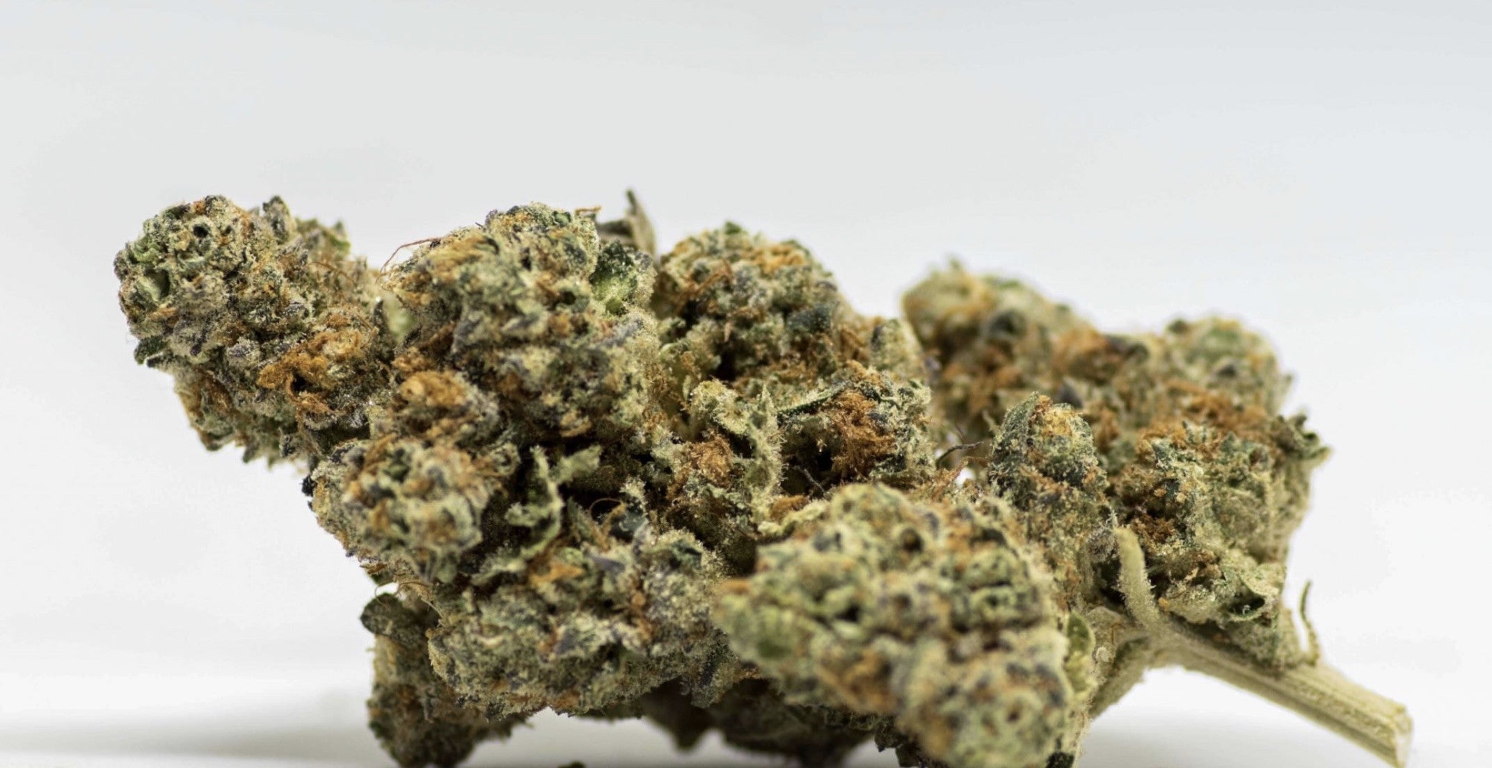 Fleurs CBD