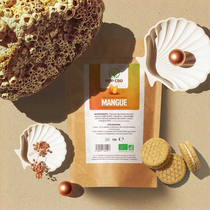 Infusion Chanvre Bio Mangue - 3
