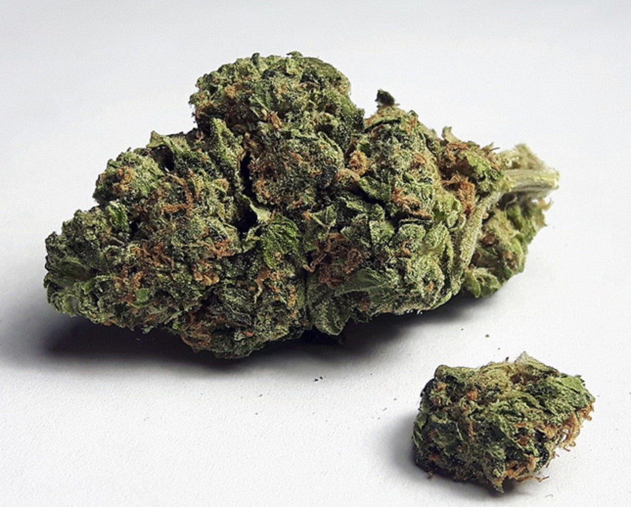 Zkittlez OH-10
